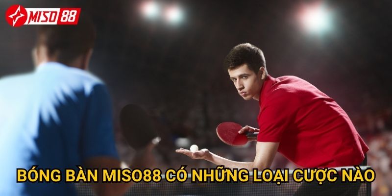 Điều gì làm nên sức hấp dẫn của cược bóng bàn tại Miso88? 2 Bóng bàn Miso88 có những loại cược nào?