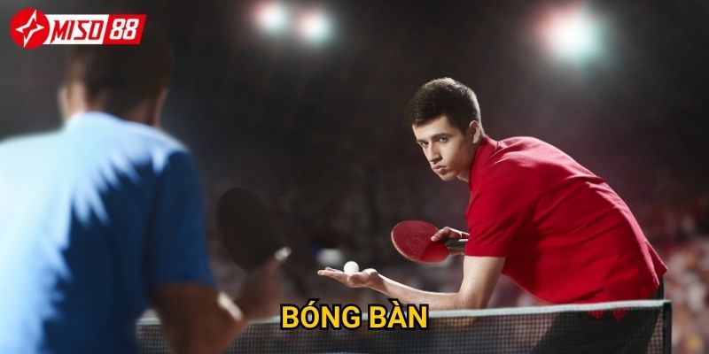 Điều gì làm nên sức hấp dẫn của cược bóng bàn tại Miso88? 5 Điều gì làm nên sức hấp dẫn của cược bóng bàn tại Miso88?