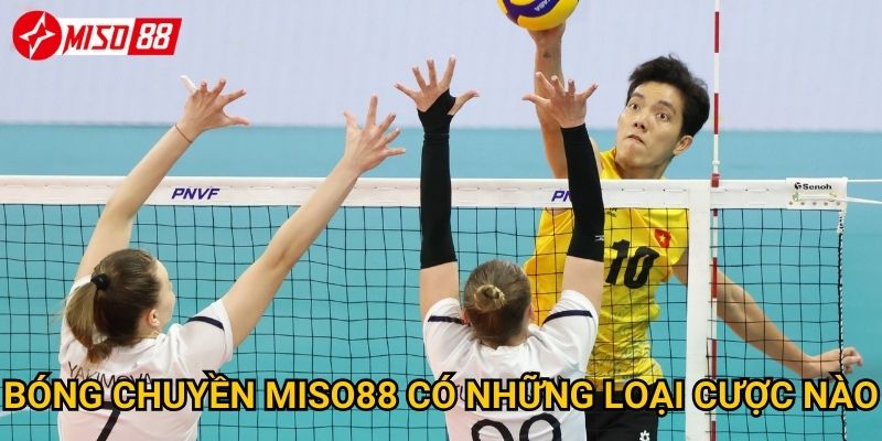 Vì sao cược bóng chuyền tại Miso88 lại thu hút người chơi? 2 Bóng chuyền Miso88 có những loại cược nào?