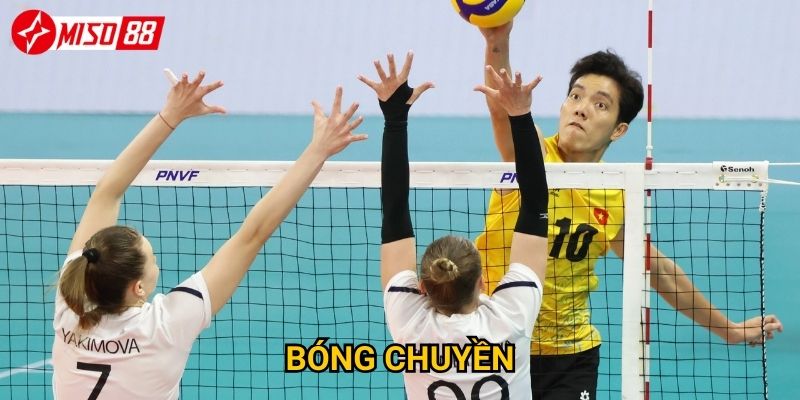 Vì sao cược bóng chuyền tại Miso88 lại thu hút người chơi? 4 Vì sao cược bóng chuyền tại Miso88 lại thu hút người chơi?