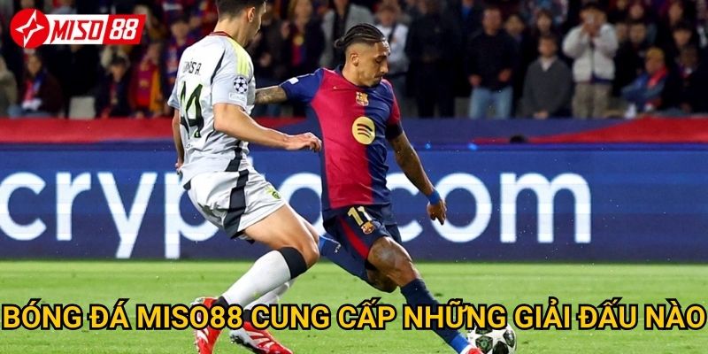 Tại sao cược bóng đá tại Miso88 lại được yêu thích nhất? 2 Bóng đá Miso88 cung cấp những giải đấu nào?