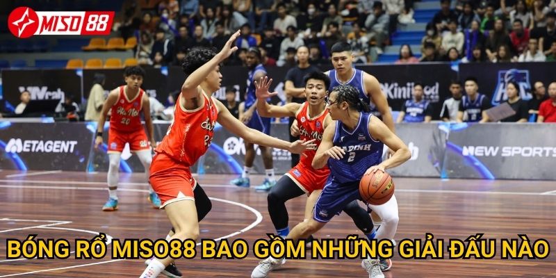 Bóng rổ Miso88 bao gồm những giải đấu nào?