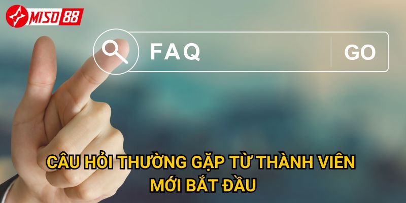 Trang chủ 28 Câu hỏi thường gặp từ thành viên mới bắt đầu