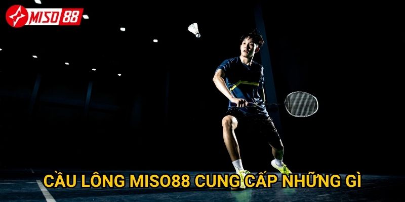 Tại sao cược cầu lông Miso88 lại được nhiều người lựa chọn? 2 Cầu lông Miso88 cung cấp những gì?