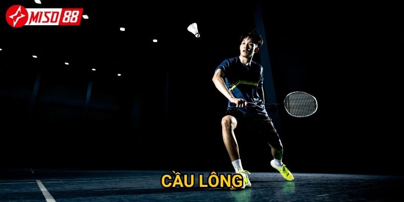 Tại sao cược cầu lông Miso88 lại được nhiều người lựa chọn? 2 Tại sao cược cầu lông Miso88 lại được nhiều người lựa chọn?