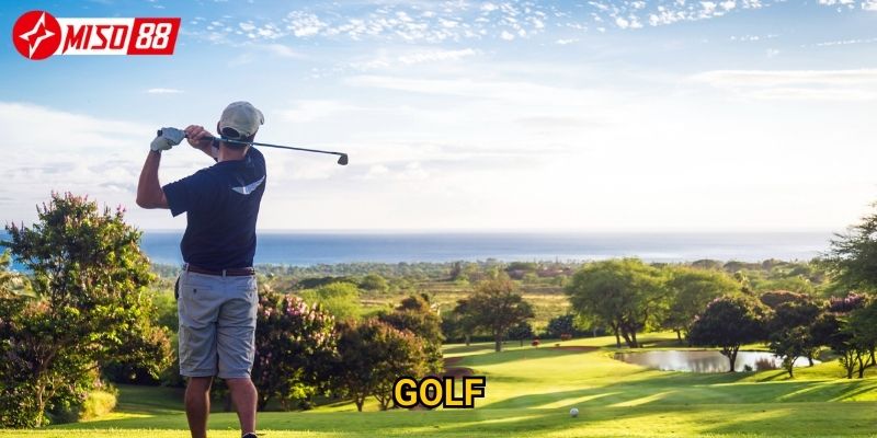 Vì sao cược golf Miso88 lại trở thành xu hướng mới? 7 Vì sao cược golf Miso88 lại trở thành xu hướng mới?