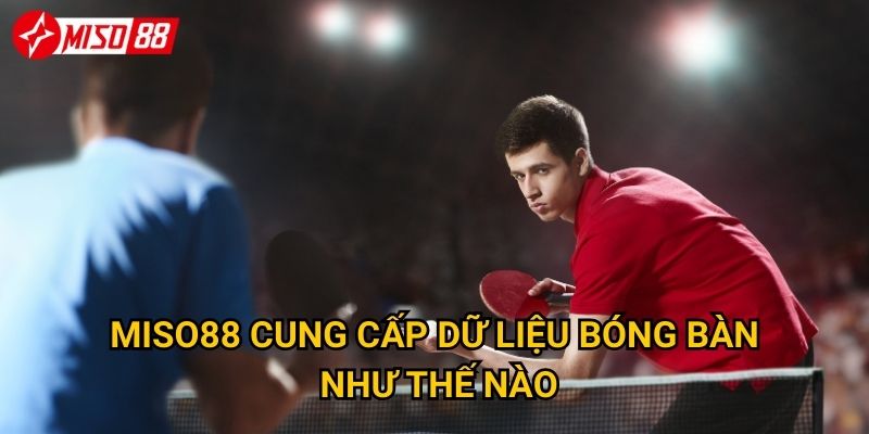 Điều gì làm nên sức hấp dẫn của cược bóng bàn tại Miso88? 3 Miso88 cung cấp dữ liệu bóng bàn như thế nào?