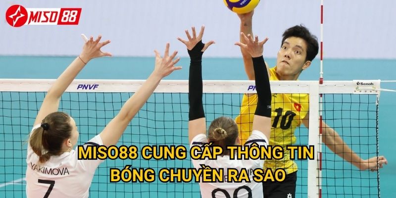 Vì sao cược bóng chuyền tại Miso88 lại thu hút người chơi? 3 Miso88 cung cấp thông tin bóng chuyền ra sao?