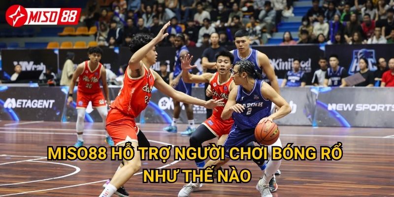 Miso88 hỗ trợ người chơi bóng rổ như thế nào?