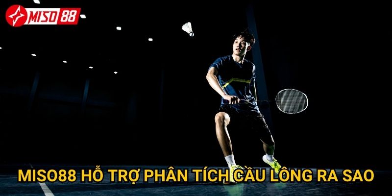 Tại sao cược cầu lông Miso88 lại được nhiều người lựa chọn? 3 Miso88 hỗ trợ phân tích cầu lông ra sao?