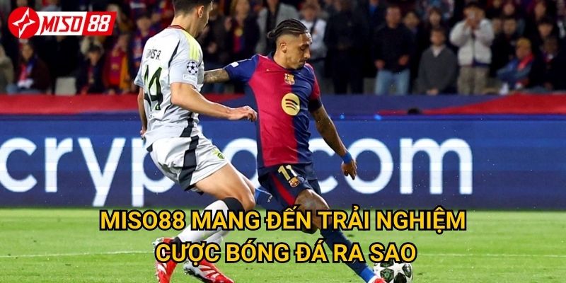 Tại sao cược bóng đá tại Miso88 lại được yêu thích nhất? 3 Miso88 mang đến trải nghiệm cược bóng đá ra sao?