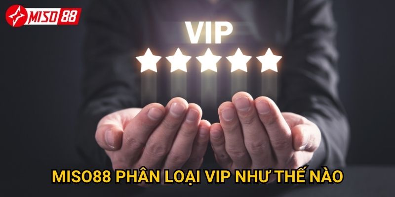 Miso88 phân loại VIP như thế nào?