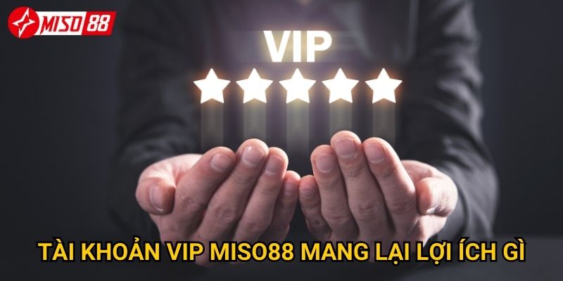 Tài khoản VIP Miso88 mang lại lợi ích gì?