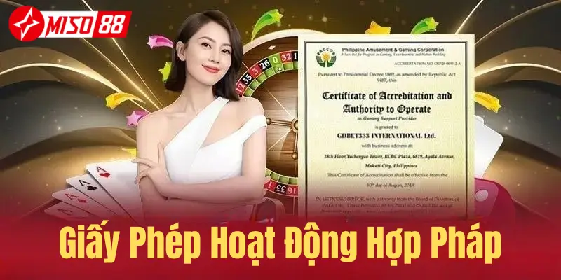 Trang chủ 19 Giấy phép lao động hợp pháp